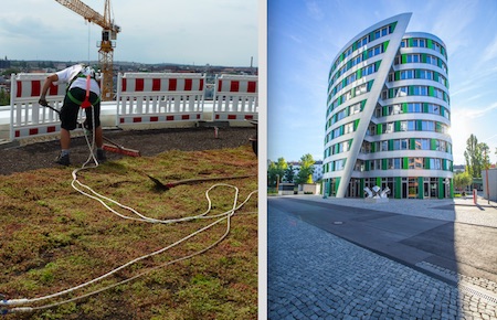 Begroeid omkeerdak voor kantoorgebouw op de EUREF-Campus